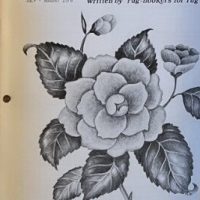 The Rug Hooker, New and Views Rug Hooking Magazine Volume 4, No. 5, Issue #23, July - August 1976 by Joan Moshimer "Used"