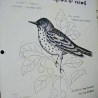 The Rug Hooker, New and Views Rug Hooking Magazine Volume 5, No. 1, Issue #25, November - December 1976 by Joan Moshimer "Used"