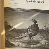 The Rug Hooker, New and Views Rug Hooking Magazine Volume 5, No. 5, Issue #29, July - August 1977 by Joan Moshimer "Used"
