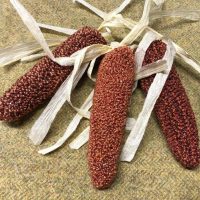 Punch Needle Pattern--3-D Indian Corn, Set of 3, with Raffia Corn Tops!