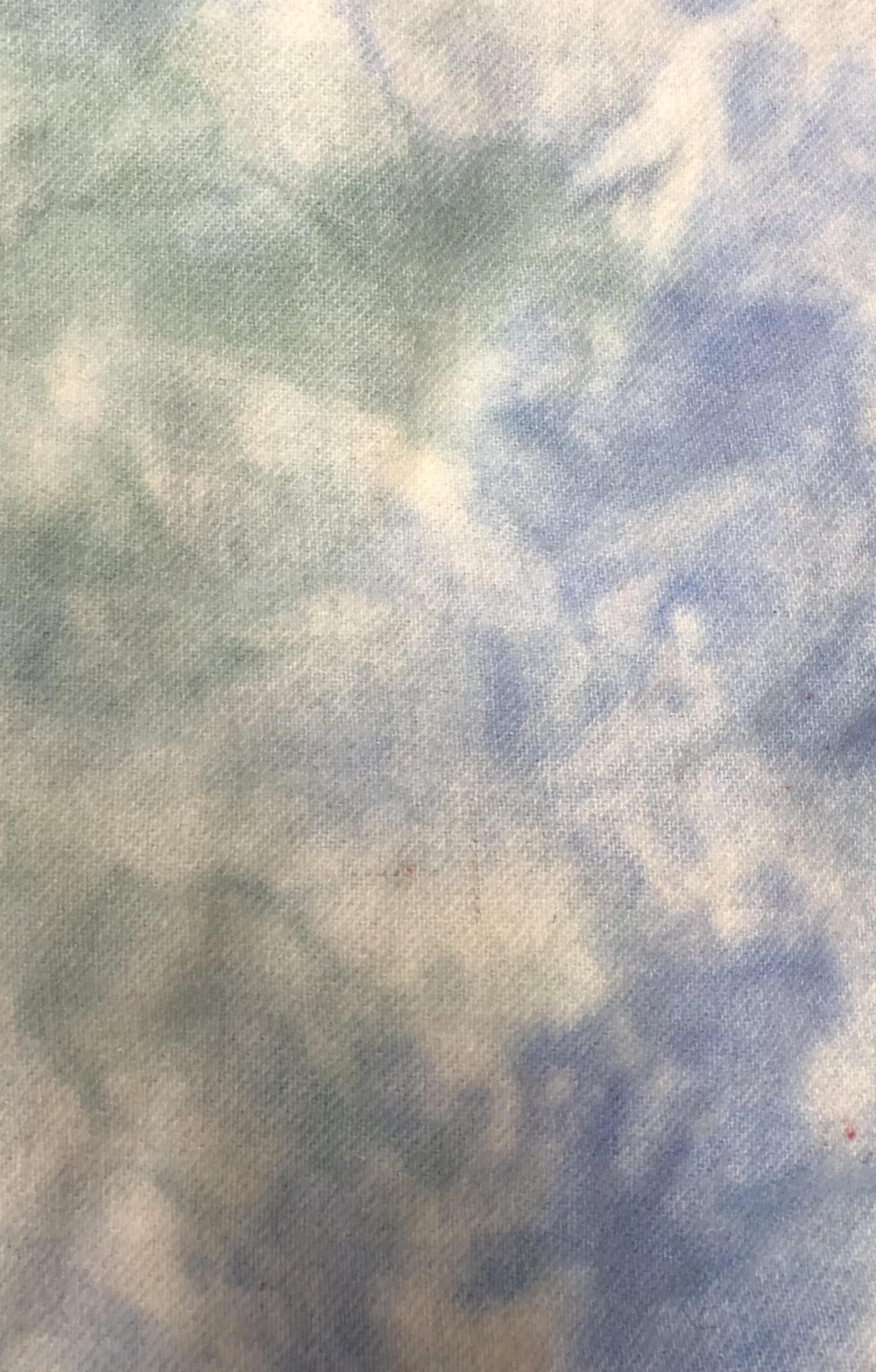 Hand Dyed Wool - Robins Egg Blue - Image 2