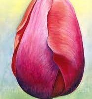 The Tulip Pattern ONLY, Based on the Artwork of Mary Michola Fibich