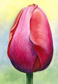 The Tulip Pattern ONLY, Based on the Artwork of Mary Michola Fibich