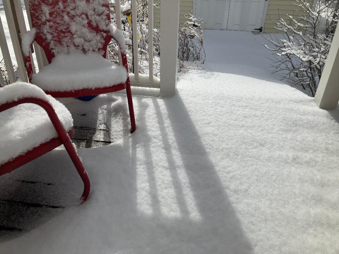 Fresh Snow = Clean Rugs & Sweaters!